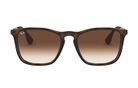 oculos_0002_0RB4187L__856_13_000A